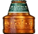 brandPils