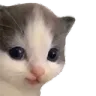 hehe hehe