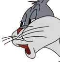 no no