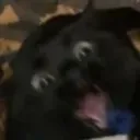DGattack DGattack
