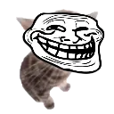 trollgatito