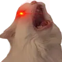 Catscream catscream Discord Emoji