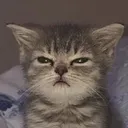 SCurabtch Discord Emoji