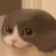 Melvinfar