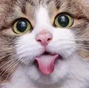 mlem mlem