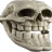 trollskull