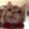 b_catt