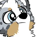 A_FurryDogConcern