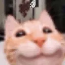 3_