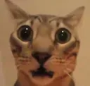 guh guh