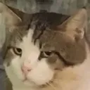 huh