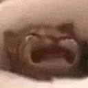 A_