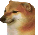 carryislive_cheems carryislive_cheems