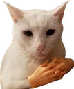 Br_catletstalk