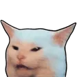 saladcat