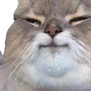 catcatPleasedSus_SF Discord emoji