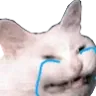 catCry