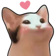 heartcat