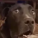 wha