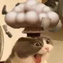 meowboom