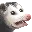 possum possum