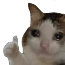 crycat