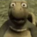 concerned_turtle