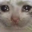 Kittysad KittySad Discord Emoji