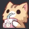 kittysip