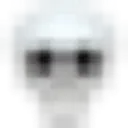 c_lqskull
