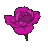 flower_pink_gp