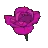 flower_pink_gp