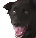 scared_boi Discord emoji