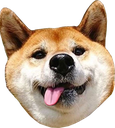 silly_boi Discord emoji