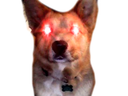 rage_boi Discord emoji