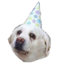 sadboi Discord emoji