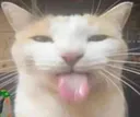 IMSOSILLYBLEHHH