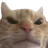 Cc_Cat_Angry Discord Emoji