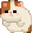kitten_roll