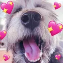 belleLove