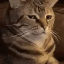 side_eye
