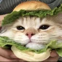 KatBurger