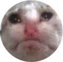 frumpo frumpo