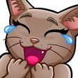 naadiiLaugh