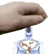 Minos_Pet