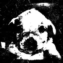 PerroDespair