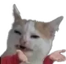 wtfidk