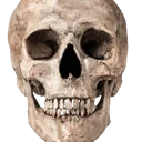 kingskull