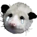 PossumSad Discord Emoji