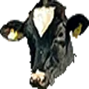 kroovahead Discord Emoji